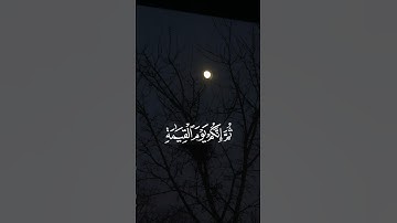 القارئ : ماهر المعيقلي ﴿ إِنَّكَ مَيِّتٌ وَإِنَّهُم مَّيِّتُونَ﴾[سورة الزمر: 30]
