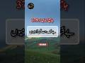 Hadees e Mubarak 🥰🥰| Hadith Of Prophet Muhammad | Hadees Sharif | Hadees Nabvi | Best Hadees #shorts