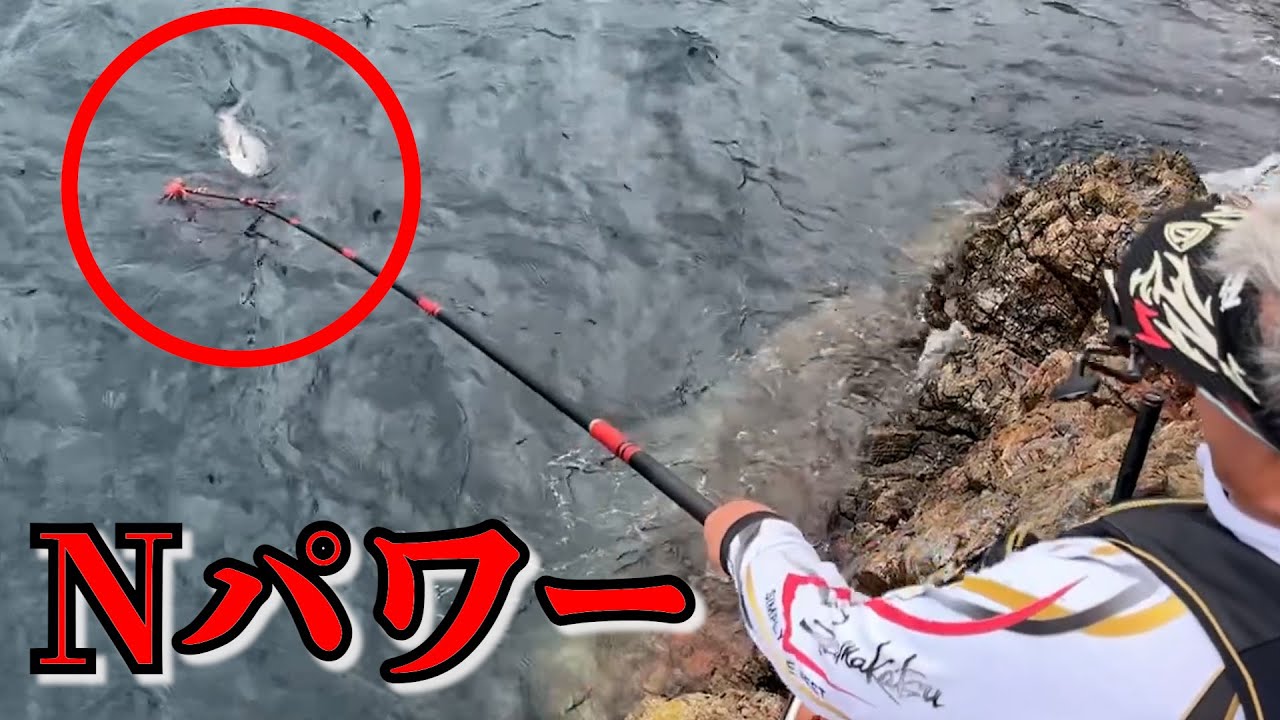 【秋磯】秋磯を満喫！大型グレ最高！