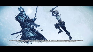 The Witcher 3 (e3 graphics)