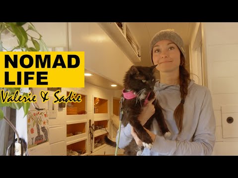 Nomad Life: Ford Transit DIY Vanlife Custom Conversion For Full Time Travel With A Cat