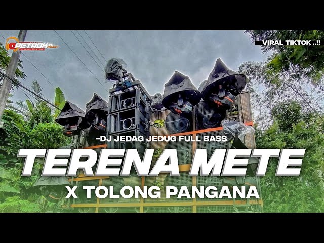 DJ TERENA METE X TOLONG PANGANA FULL BASS TERBARU class=