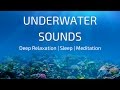 Underwater Soundscape