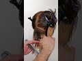 Clean Razor Cutting Techniques using Feather Razors - A Technical Deep Dive #shorts #short