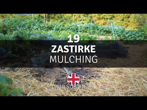 Video: Film Za Mulčenje S Tlemi Stabilen® - Zastirka