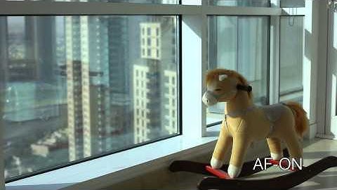 Switching Canon: Canon 5D Mark III Auto Focus while Video Recording