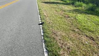 Brevard County Florida Mowing Roadside Litter 2020