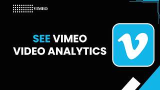 How to See Vimeo Video Analytics