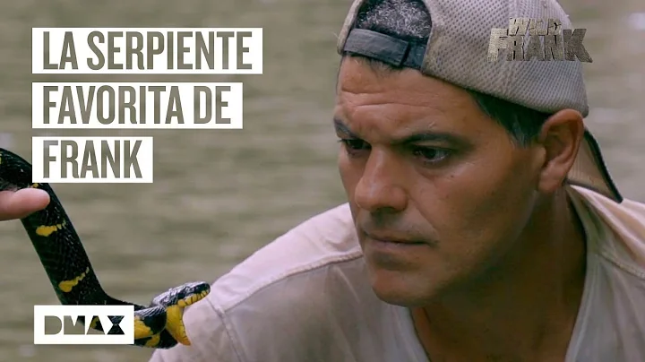 Lo que siempre has querido saber de Wild Frank: cu...
