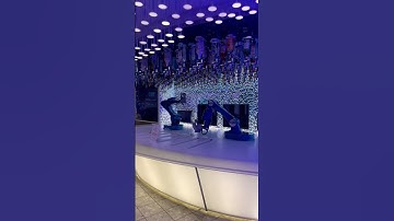 Robot bar?! #bionicbar #cruisevlogger #cruisevlogs #cruise #cruiseship #shortvideo #shorts #fyp #sub