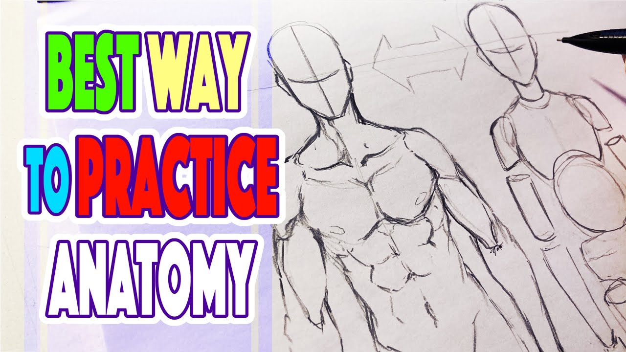 How to draw Anime Body and poses (Tutorial) From Basic Anatomy, Easy Anime  sketch