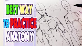 Best Way To Practice Anatomy | How To Draw Anatomy Poses