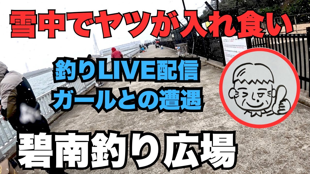 雪中でヤツが入れ食い　釣りLIVE配信ガールと遭遇　碧南釣り広場　2026.1.25