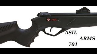Обзор винтовки ASIL ARMS 701