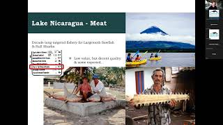 SCS Research Webinar Series - 'Sawfish Trade: An Introduction' by Matthew McDavitt