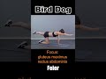 Bird dog #exercise #fitness #fitnesslifestyle #workout #birddog