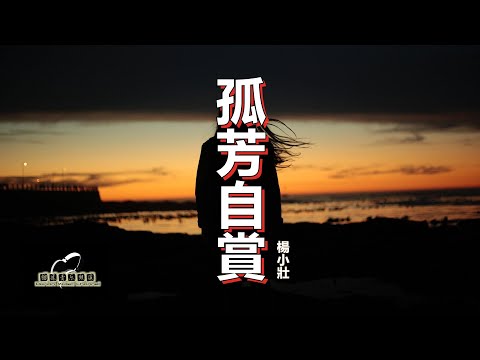 杨小壮- 孤芳自赏【動態歌詞/Lyrics Video】抖音歌曲 「我承认我自卑 我真的很怕黑」