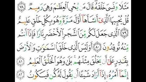 036 سورة يس من الاية 78 إلى 83