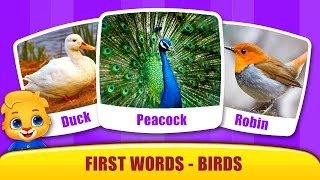 Baby's First Words #4 -  Learn Bird Names and Sounds with Lucas! | RV AppStudios Games screenshot 3