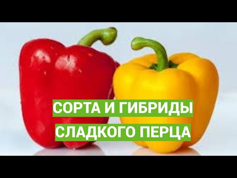 ВЫБОР СОРТОВ И