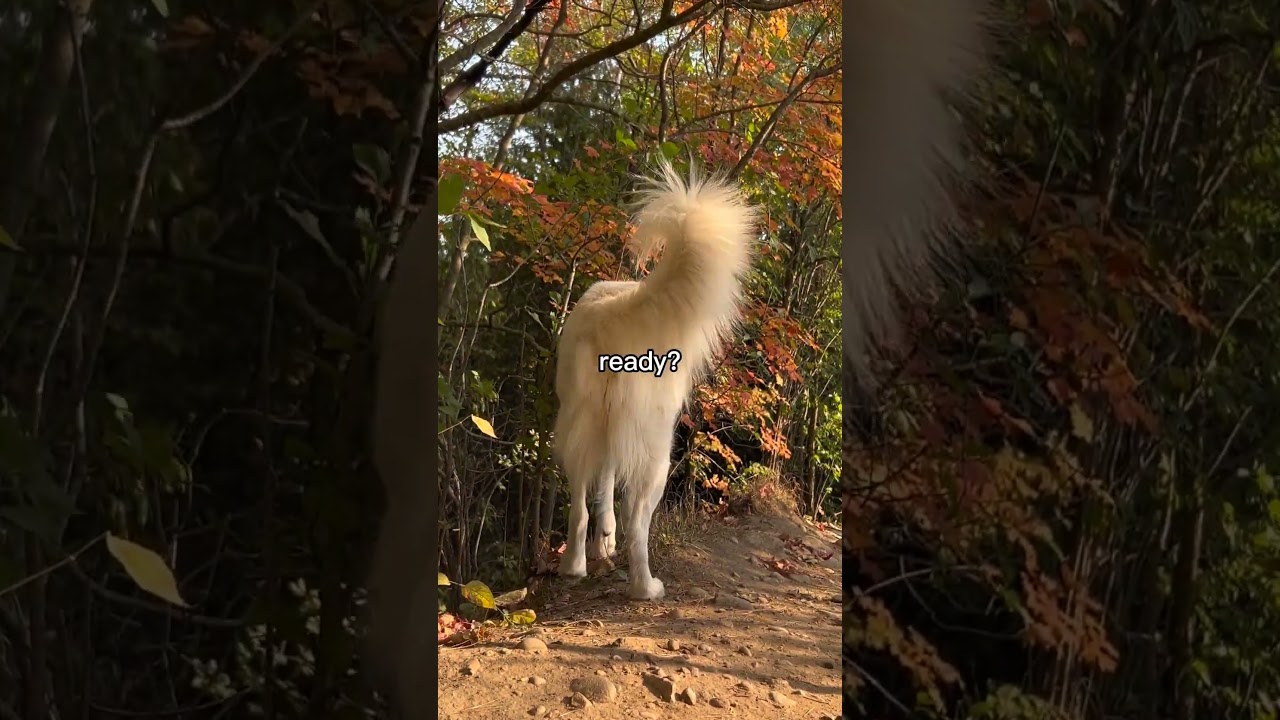 King of plot twist 😬 