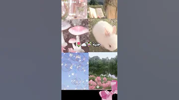 تكتبوا لي في تعليقات Books كتب Summer بليز ادعموني دعم نازل 