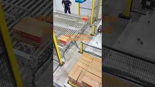 Robotic palletizer#salanpacking