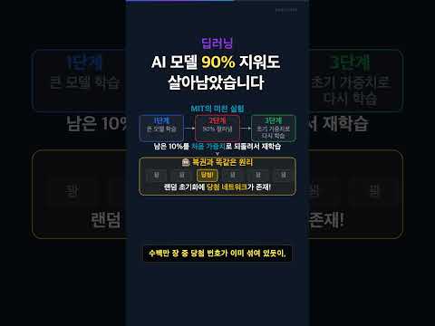 AI 모델의 99%는 쓸모가 없었습니다 #딥러닝 #모델압축 #AI #프루닝 #신경망 #LotteryTicket #ReadCode
