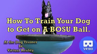 How to Train Your Dog to Get on a BOSU Ball in Virtual Reality. by Longoriahaus Dog Training 2,294 views 4 years ago 18 minutes