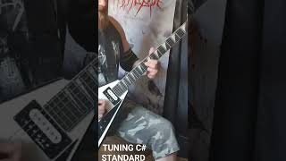 My Dying Bride - Echoes From A Hollow Soul (Guitar cover outro)