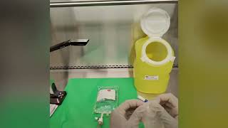 A day in the life: ONCOLOGY PHARMACY TECHNICIAN