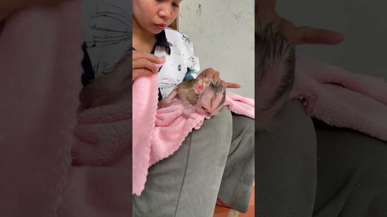 Mom he is Take good care to NewBorn A Tong