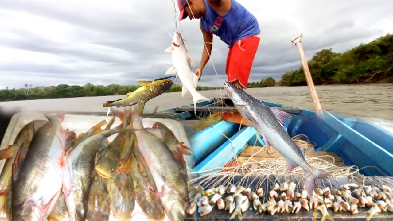 ERA UM ATRÁS DO OUTRO, Pescaria de Espinhel