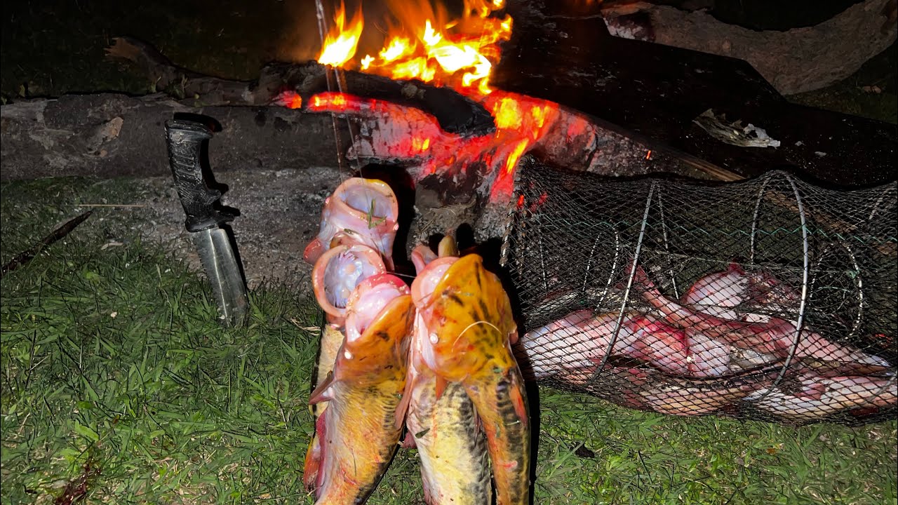 3 DÍAS de PESCA IMPRESIONANTE – PEJERREY MANDUVÍ y TARARIRAS, pescado frito 