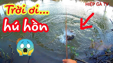 Cắm Câu Cá Lóc Mồi Dế Thử Nghiệm Lưỡi Câu Khắc Tinh Của Cá Rô | Fishing | HIỆP GÀ TV