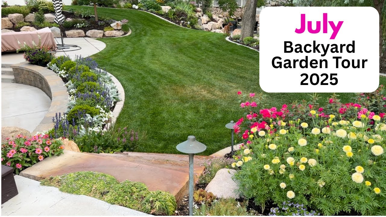 July Backyard Garden Tour 2025