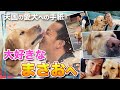 【天国にいる愛犬へ】…手紙を贈る。ポチたまで共に旅した「まさおくんへ」相棒「松本秀樹」が涙ながらに手紙を書いた。
