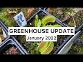 Greenhouse update | January 2022