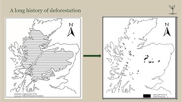 The Reds Return - Webinar