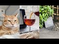 Kyoto vlog | 京都ひとり暮らしの日常 | 初夏の日々 | weekender coffee
