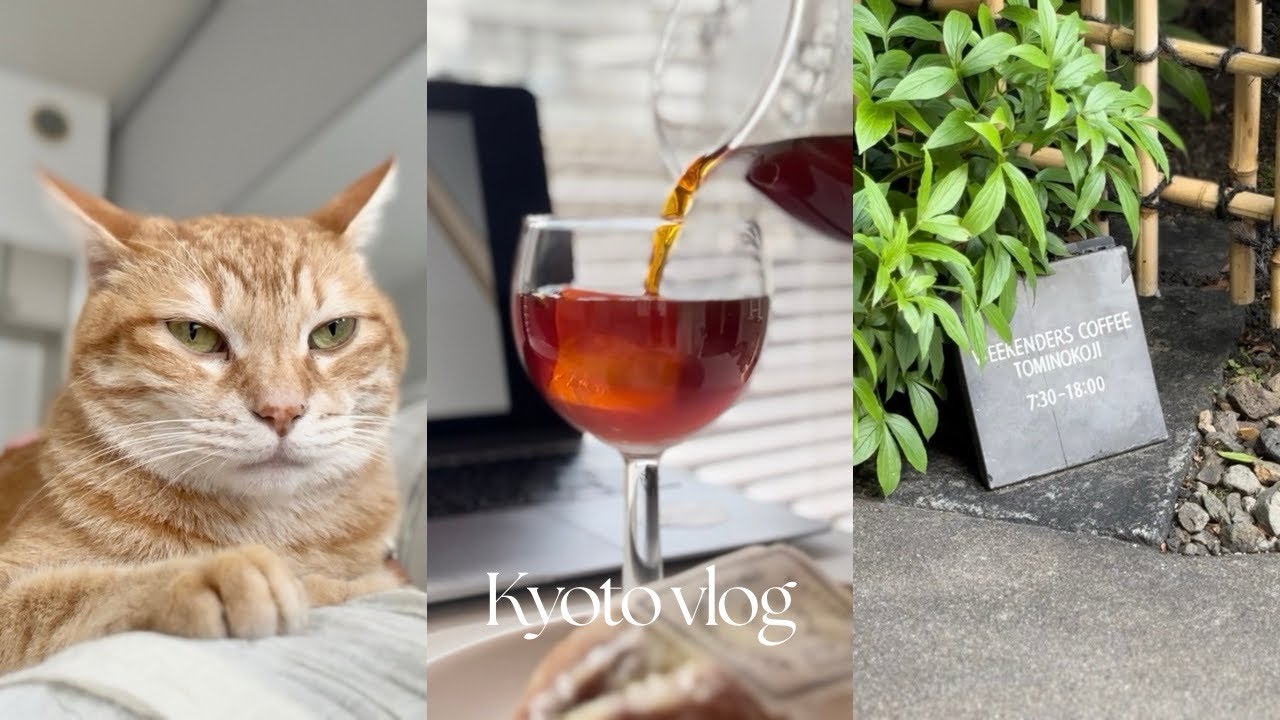 Kyoto vlog | 京都ひとり暮らしの日常 | 初夏の日々 | weekender coffee
