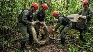 Celebrity Brave Team Saves Deer from GIANT Python Attack in AMAZING Jungle Rescue Net Worth