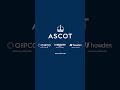 He's WIDE AWAKE! 🤪 NOT SO SLEEPY has had some memorable wins at #Ascot | #Shorts