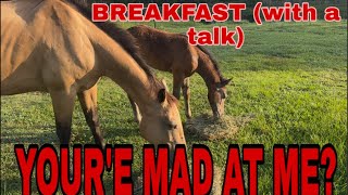 Shirtless Jake's Homestead is live!