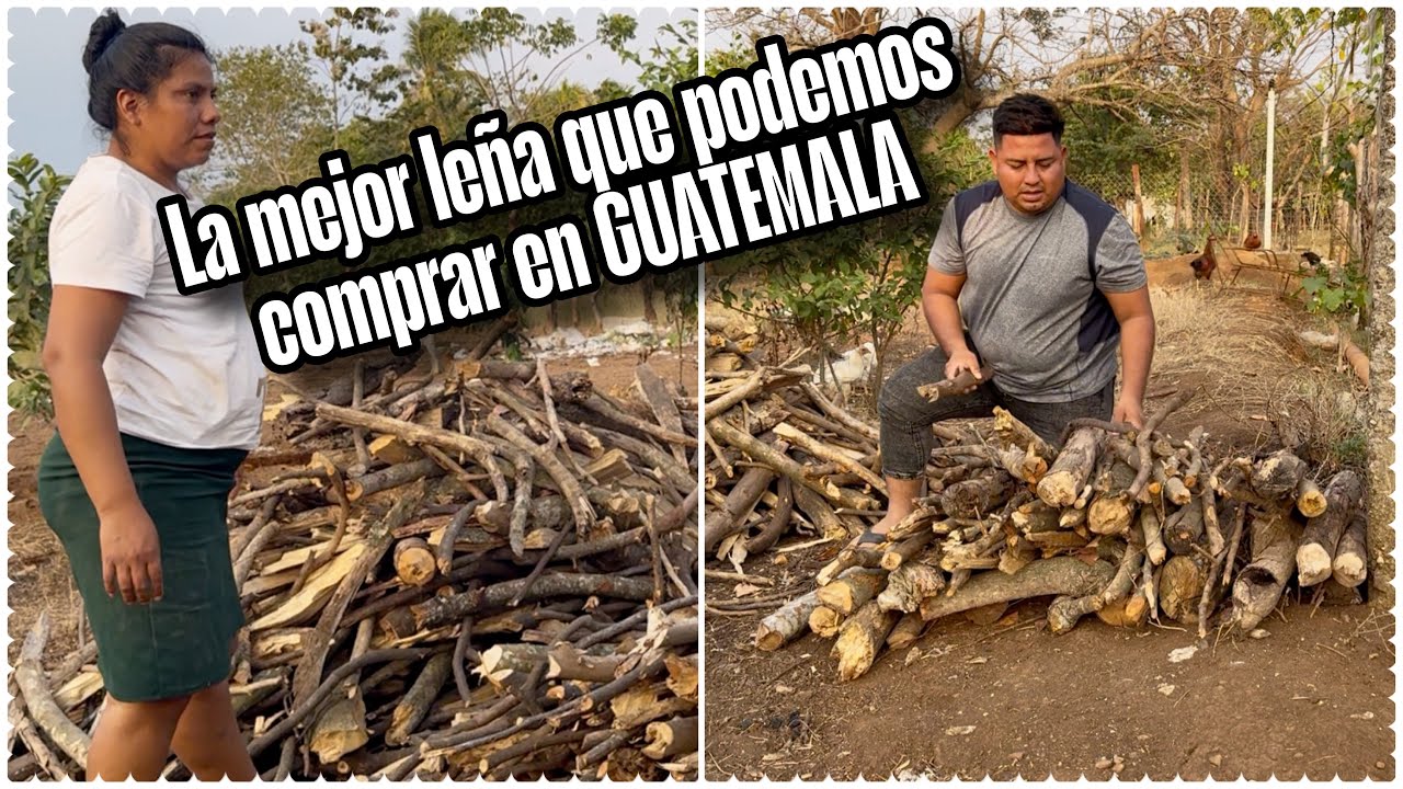 La leña de nuestro patio está desapareciendo😱 le arregle todo esto ami ESPOSA 