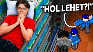 Túléltem A Roblox Mega Boltot..