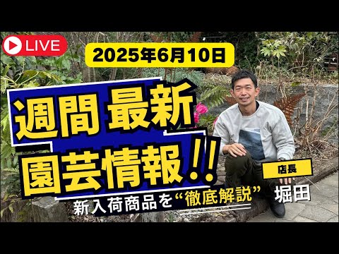 【最新情報】6月10日グリーンギャラリーガーデンズ入荷情報を一挙公開!