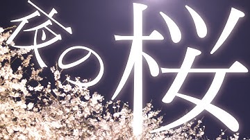 【夜桜ライトアップ】ゆめかり～まきばの花物語～【予告】