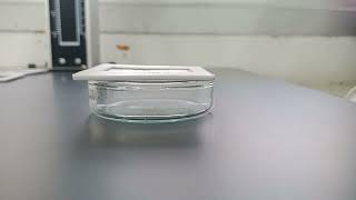 In vitro Disintegration of Orodispersible Film (ODF)