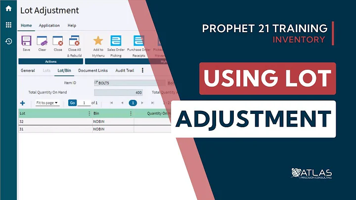 Prophet 21 Training and How To - Inventory: Lot Adjustment